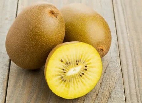 تصویر 1 از قیمت خرید کیوی طلایی رنگ + فروش ویژه